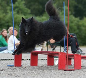 © Toni Lahdensivu